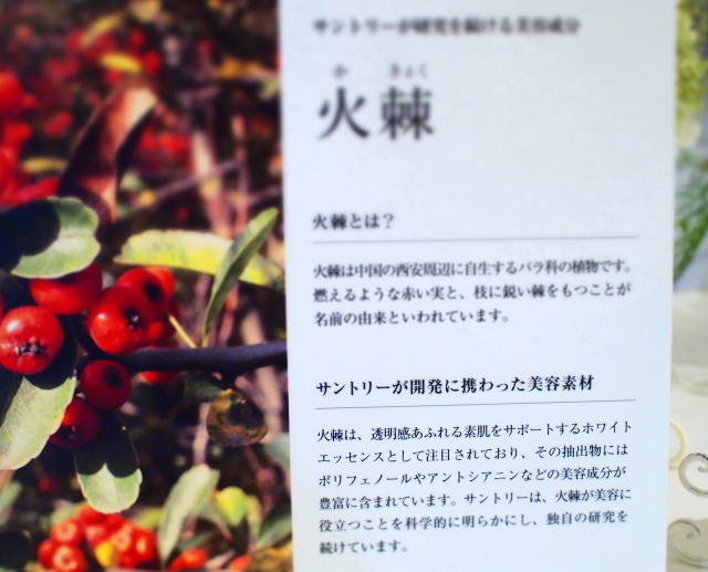 美白 効果